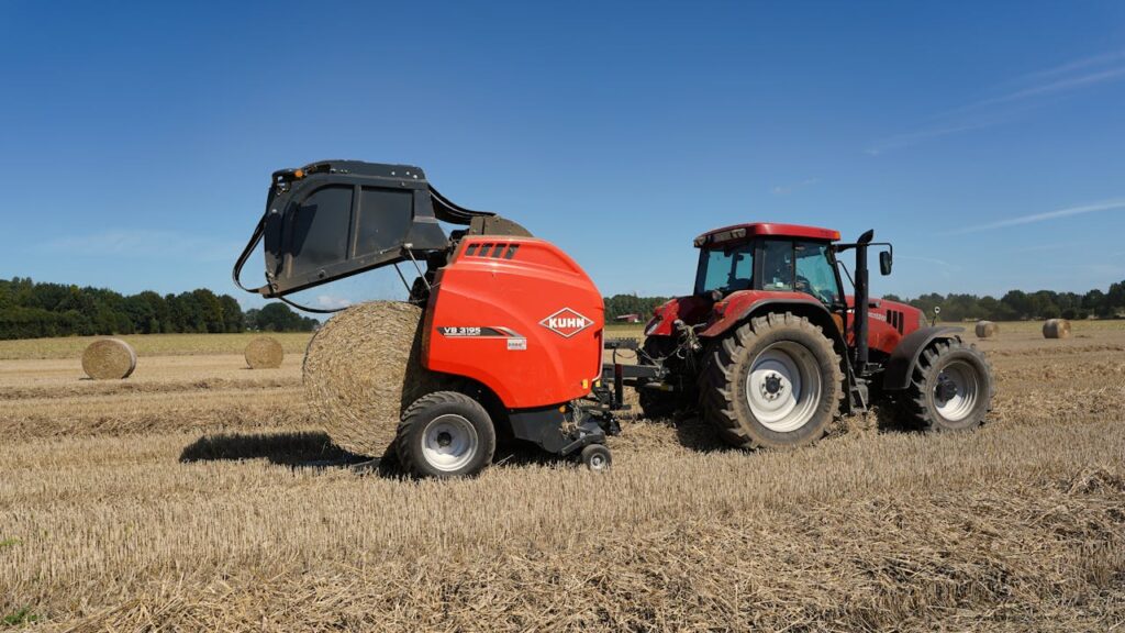 pexels photo 33497142.jpeg