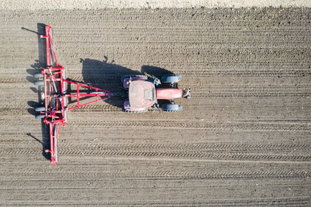 pexels photo 8331253.jpeg